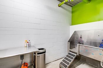 A clean white and green bathroom with a sink and toiletries.